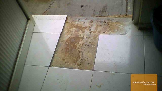 Aulas (vista previa)