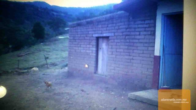 Entrada (vista previa)