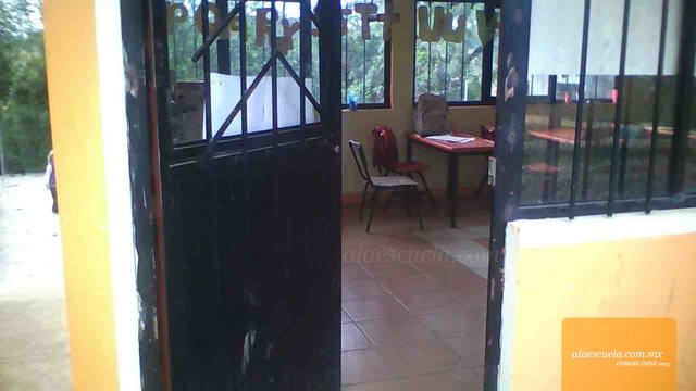 Entrada (vista previa)