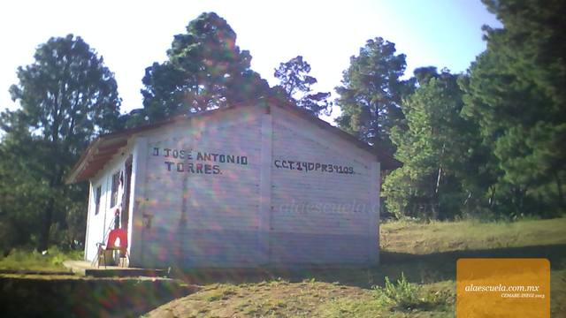 Entrada (vista previa)