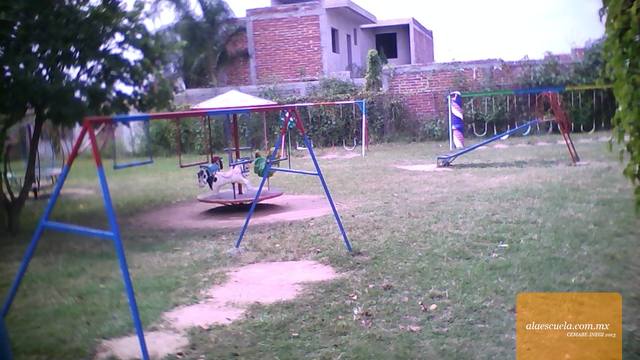 Entrada (vista previa)