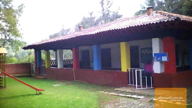 Entrada (vista previa)