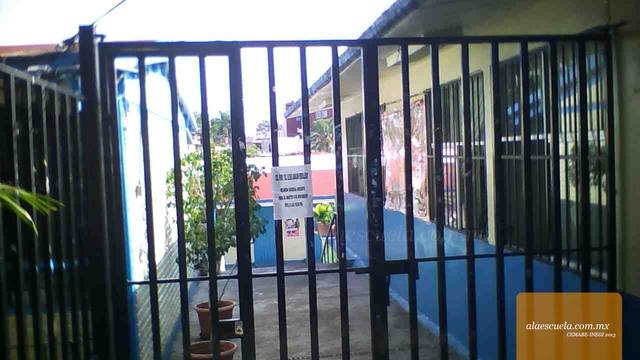 Entrada (vista previa)