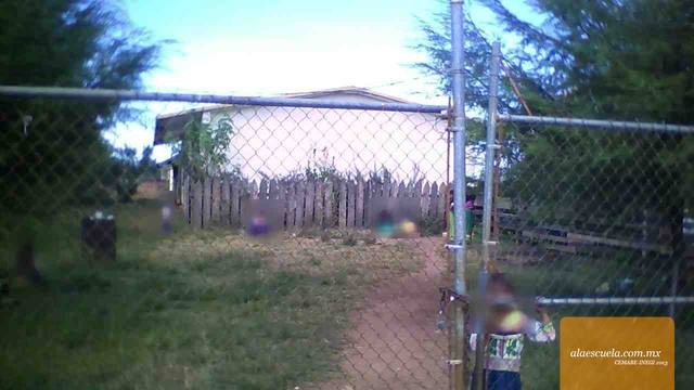Entrada (vista previa)