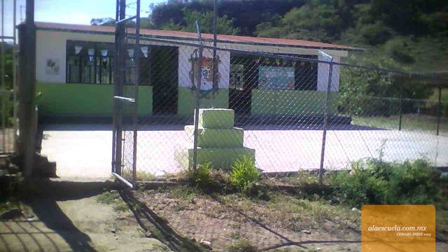 Entrada (vista previa)