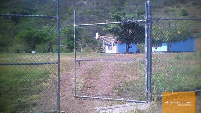 Entrada (vista previa)