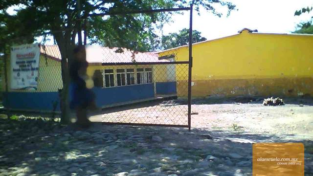 Entrada (vista previa)