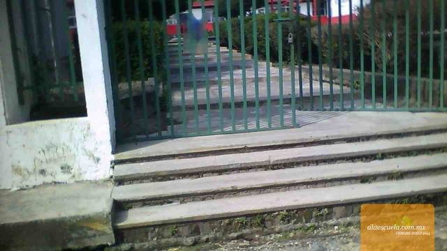 Entrada (vista previa)