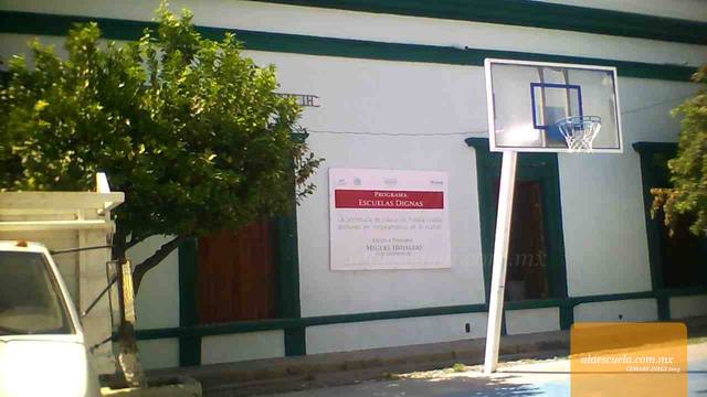 Entrada (vista previa)