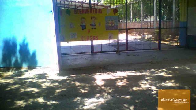 Entrada (vista previa)