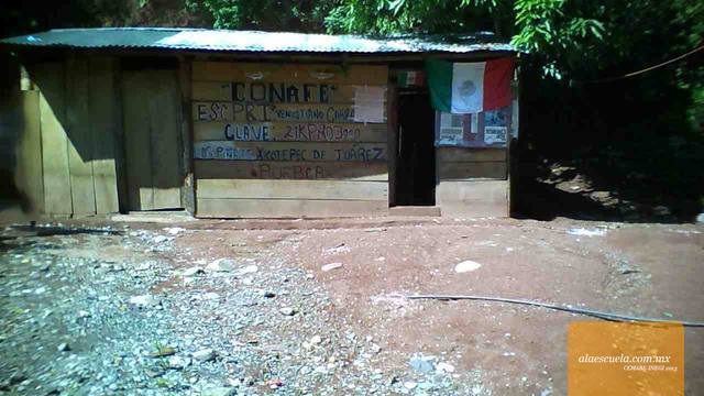 Entrada (vista previa)