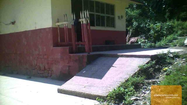 Entrada (vista previa)