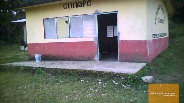 Entrada (vista previa)