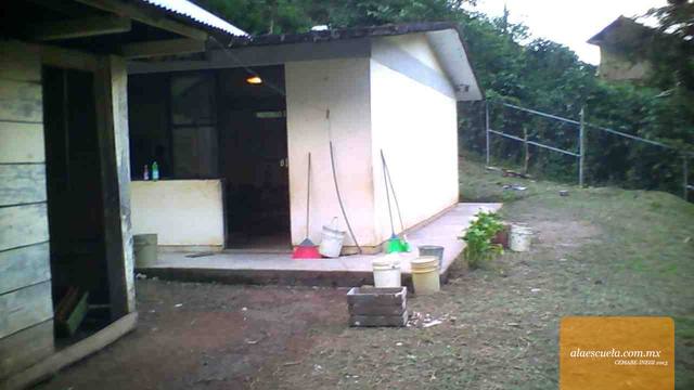 Entrada (vista previa)