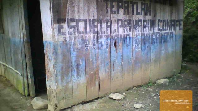 Entrada (vista previa)