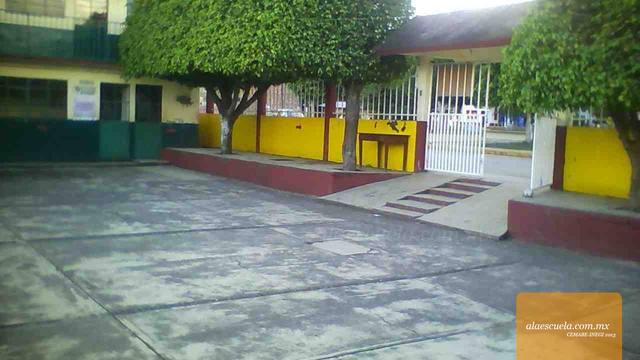 Entrada (vista previa)