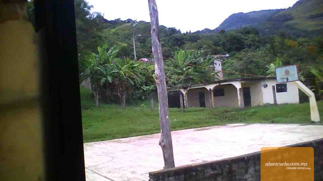 Entrada (vista previa)
