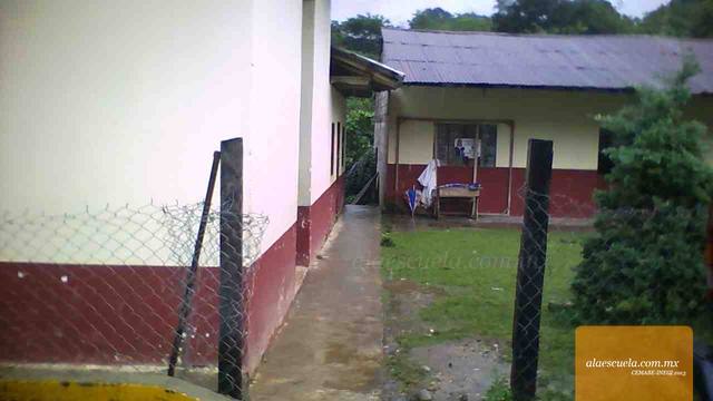 Entrada (vista previa)