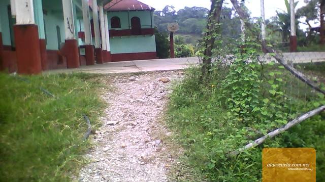 Entrada (vista previa)