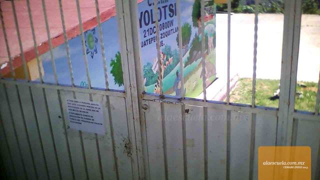 Entrada (vista previa)