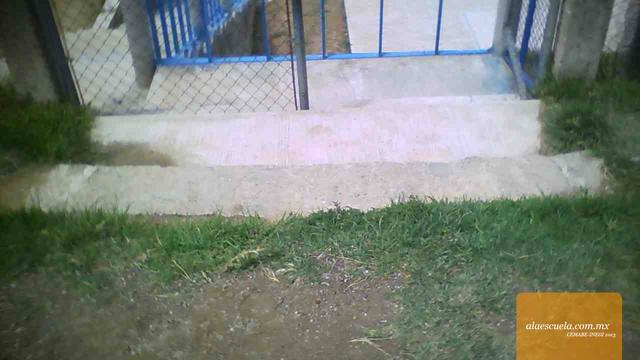 Entrada (vista previa)