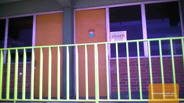 Entrada (vista previa)