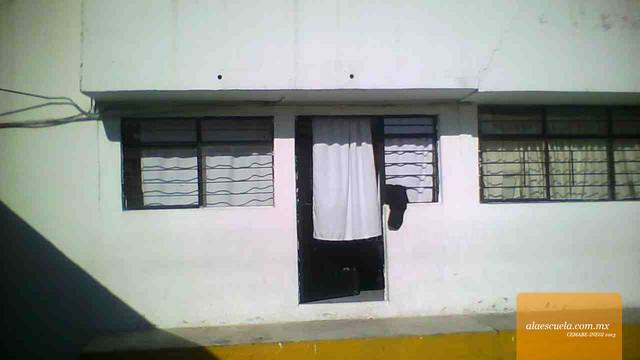 Entrada (vista previa)