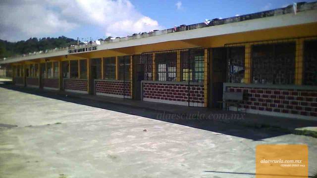 Entrada (vista previa)