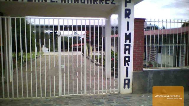 Entrada (vista previa)