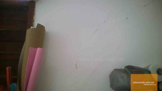 Aulas (vista previa)