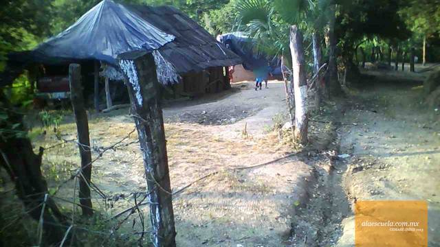 Entrada (vista previa)