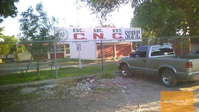 Entrada (vista previa)