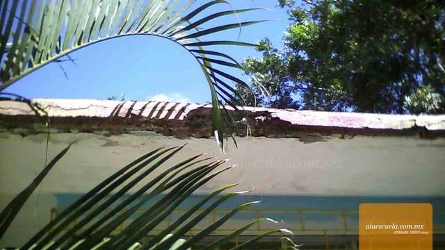 Aulas (vista previa)