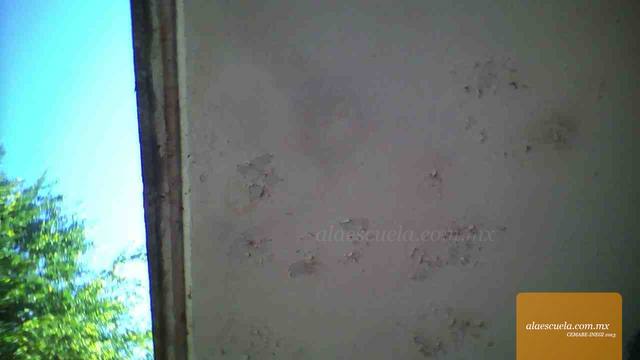 Aulas (vista previa)