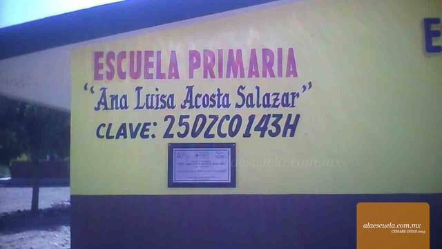 Entrada (vista previa)