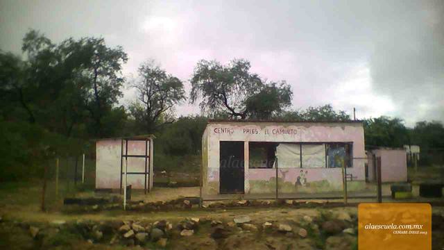 Entrada (vista previa)