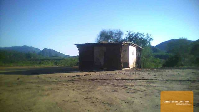 Entrada (vista previa)