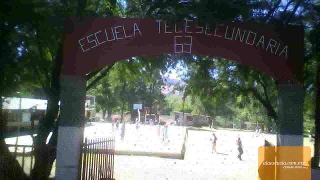 Entrada (vista previa)