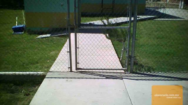 Entrada (vista previa)