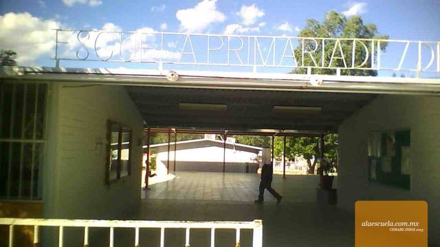 Entrada (vista previa)