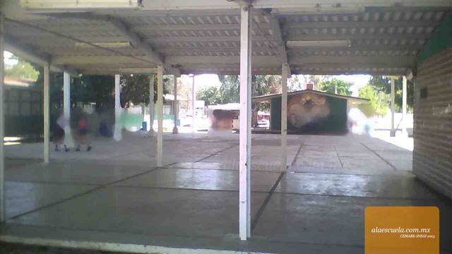 Entrada (vista previa)