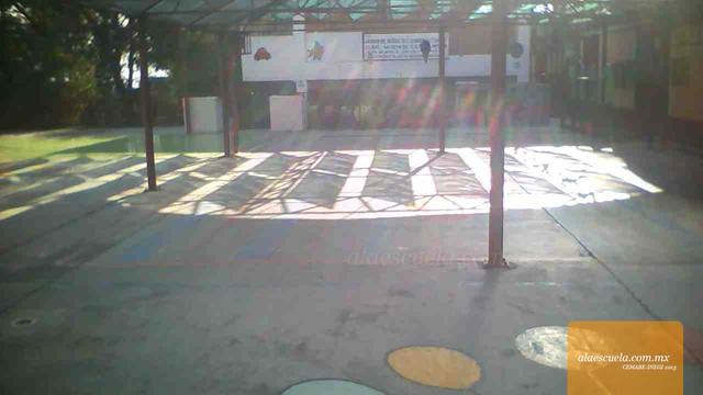 Entrada (vista previa)