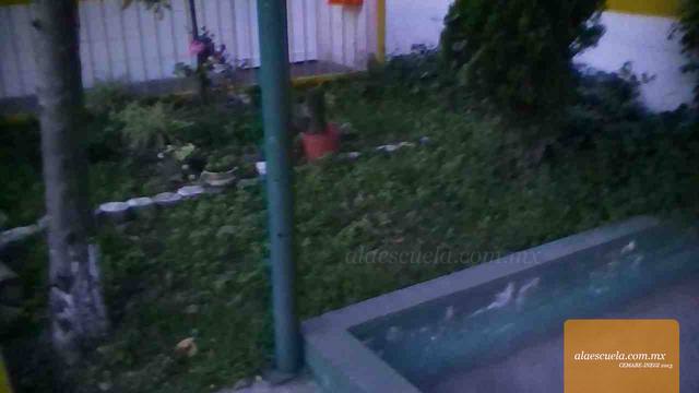 Áreas (vista previa)