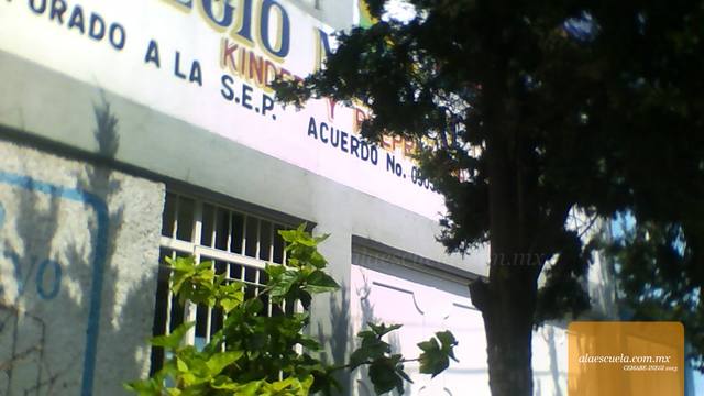 Entrada (vista previa)
