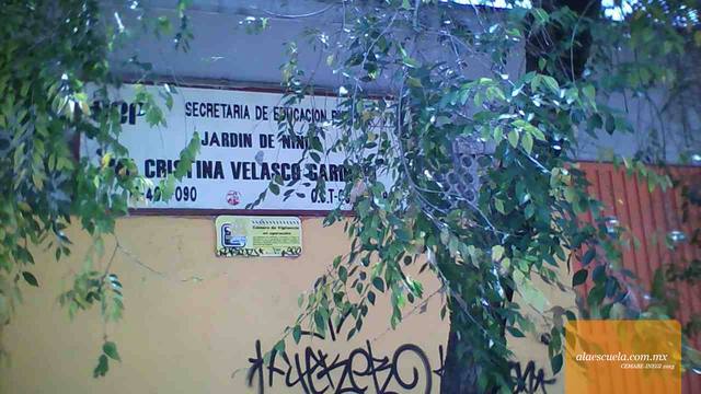 Entrada (vista previa)