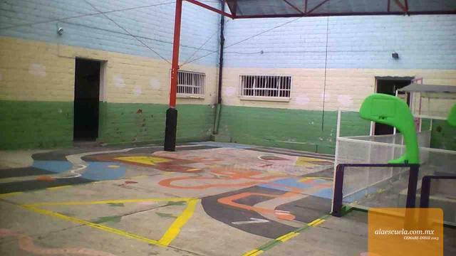 Entrada (vista previa)
