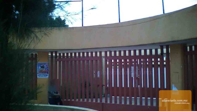 Entrada (vista previa)