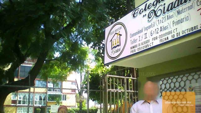 Entrada (vista previa)