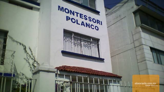 Entrada (vista previa)