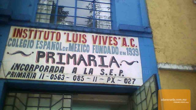 Entrada (vista previa)